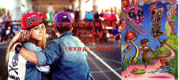 мет Алексин