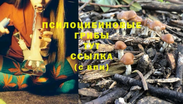 мет Алексин